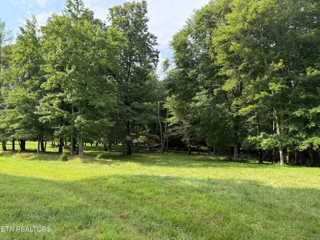 1041 Walt Reed Road Grandview TN 37337