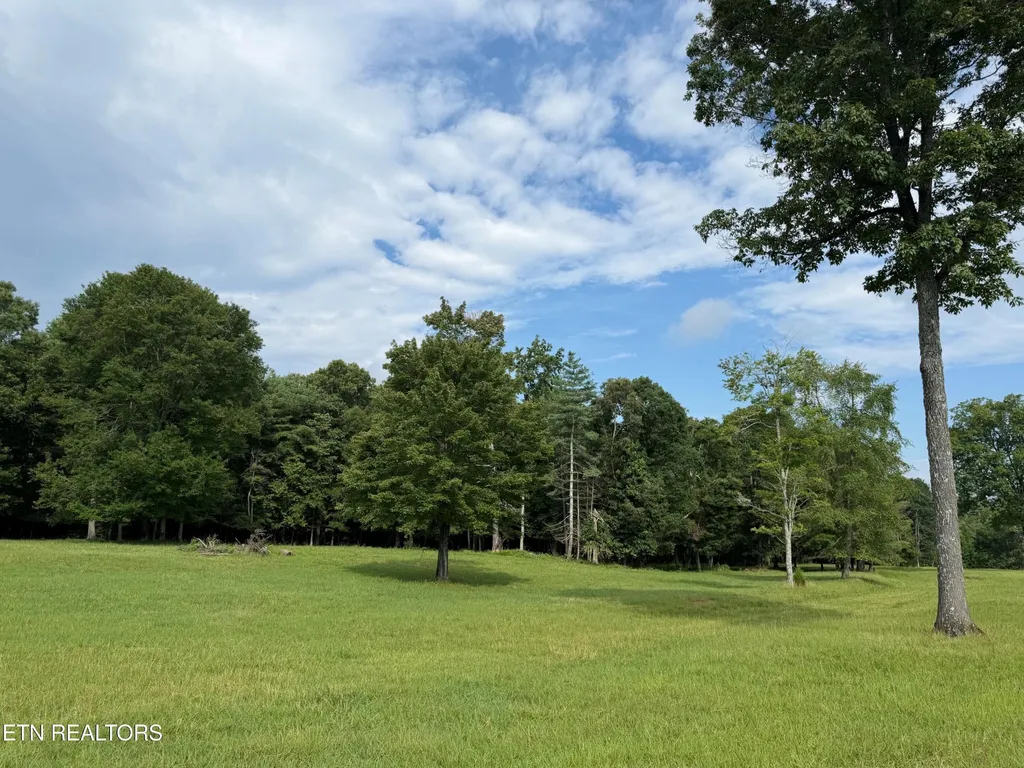 1041 Walt Reed Road Grandview TN 37337