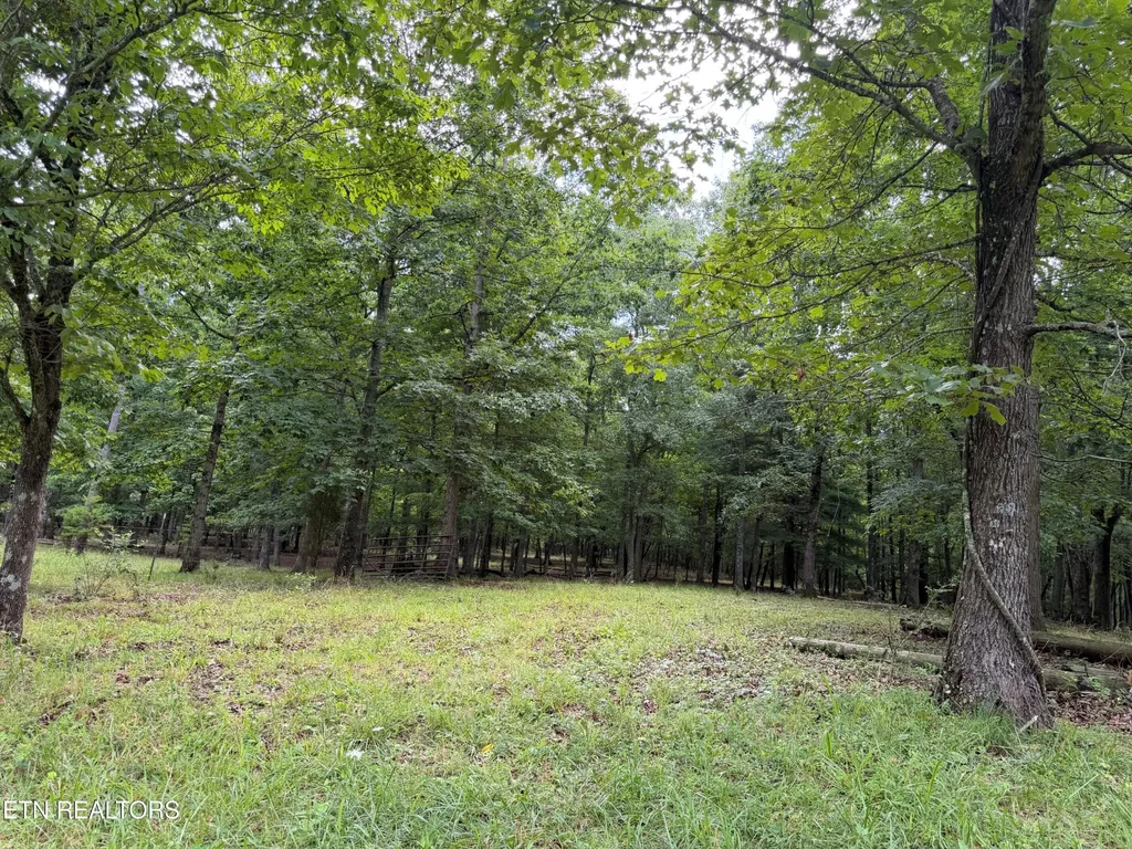 1041 Walt Reed Road Grandview TN 37337