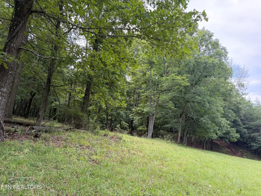 1041 Walt Reed Road Grandview TN 37337