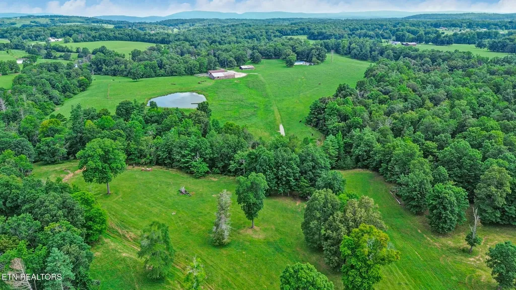 1041 Walt Reed Road Grandview TN 37337