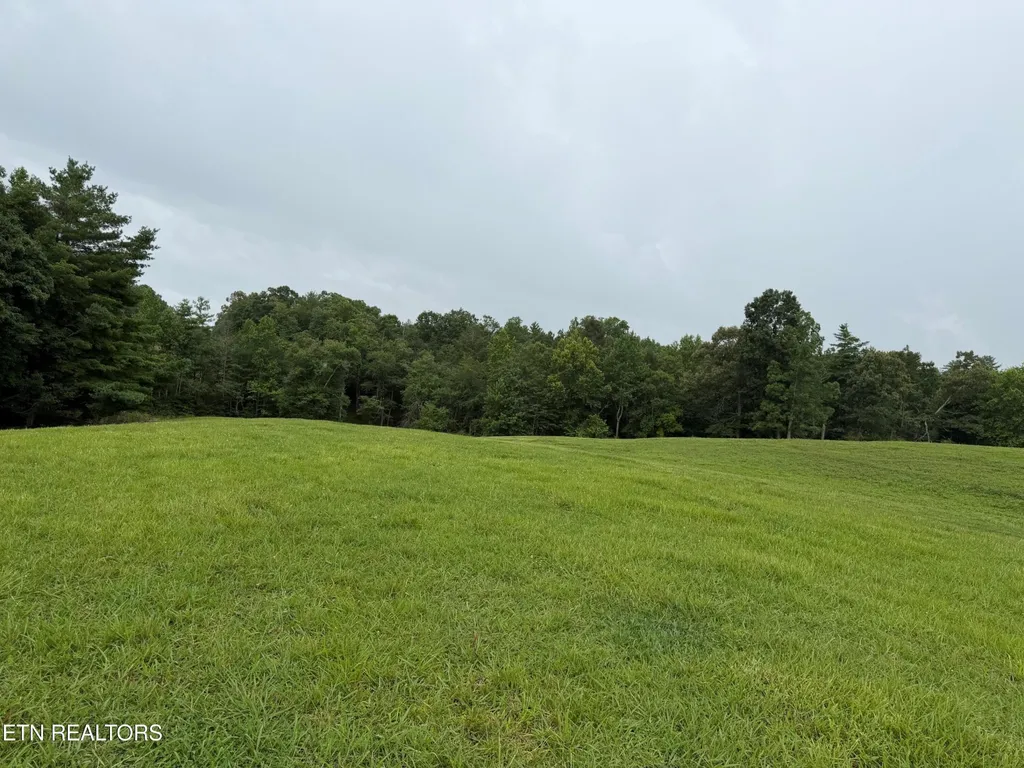 1041 Walt Reed Road Grandview TN 37337