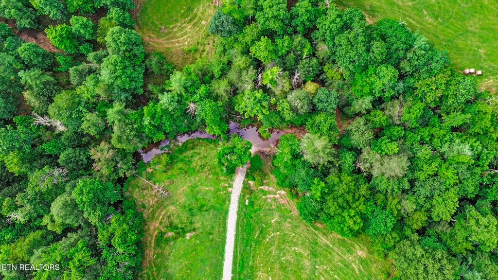 1041 Walt Reed Road Grandview TN 37337