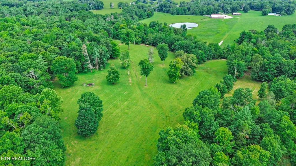1041 Walt Reed Road Grandview TN 37337