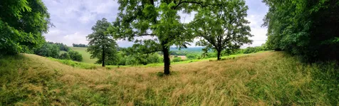 244 Access Road Pulaski TN 38478