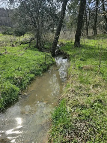 244 Access Road Pulaski TN 38478