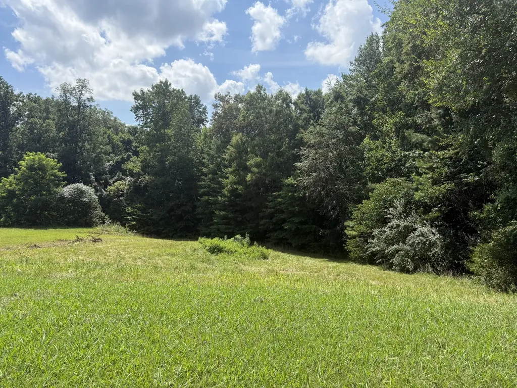 0 Brenda Circle Mc Minnville TN 37110