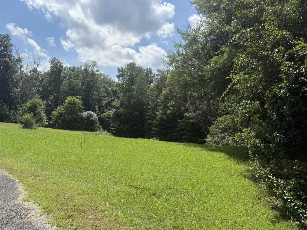 0 Brenda Circle Mc Minnville TN 37110