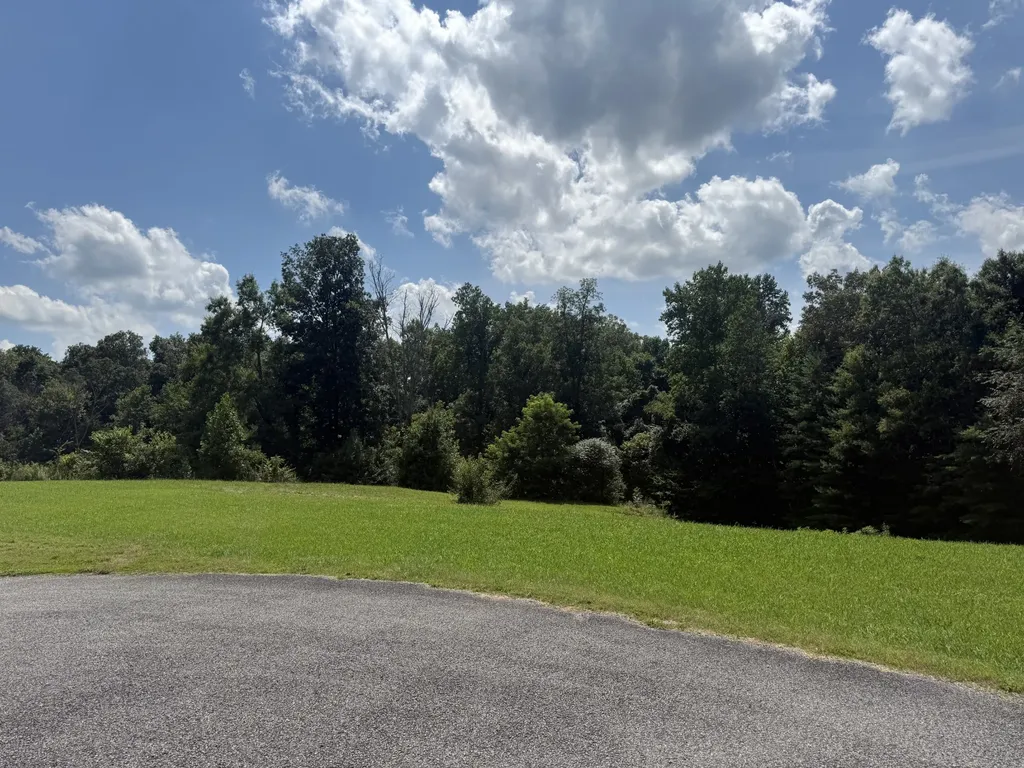 0 Brenda Circle Mc Minnville TN 37110
