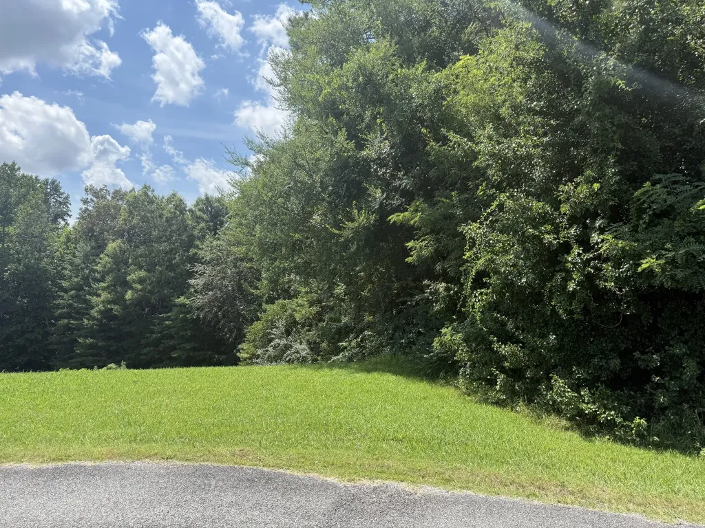 0 Brenda Circle Mc Minnville TN 37110
