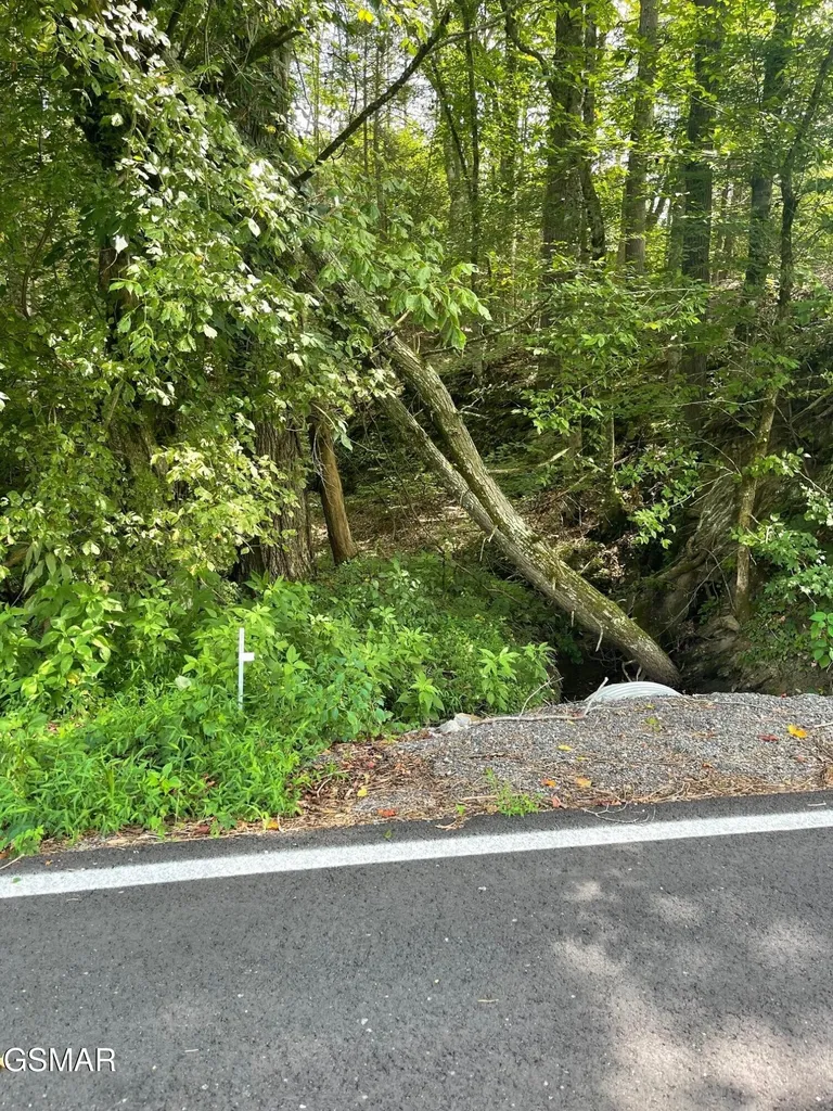 1477 Old Chilhowee Road Seymour TN 37865