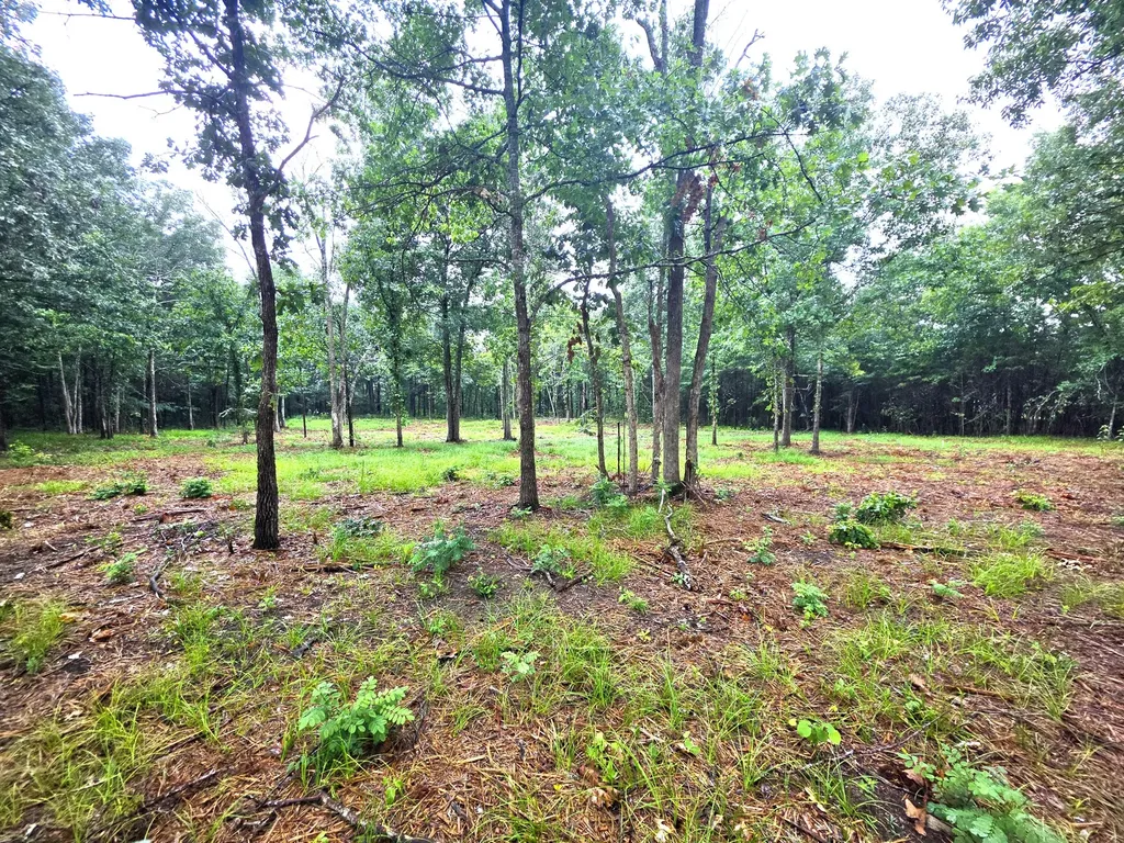 1 Couchville Pike Mount Juliet TN 37122