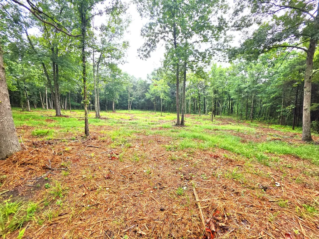 0 Couchville Pike Mount Juliet TN 37122
