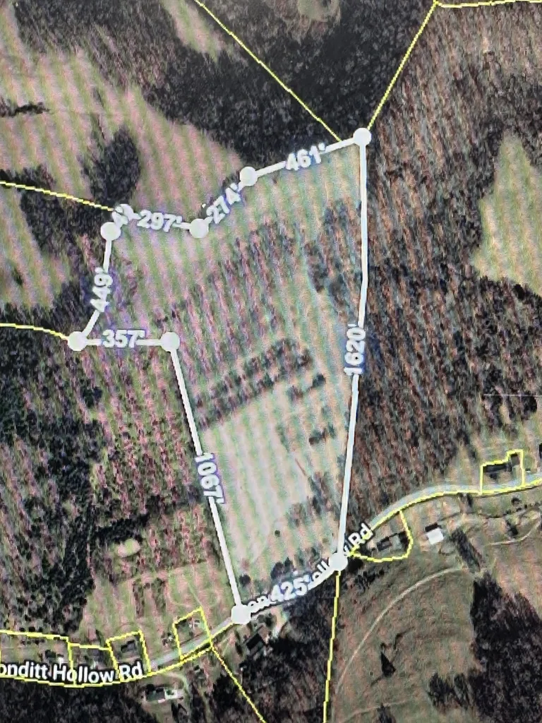 89 Conditt Hollow Road Elmwood TN 38560