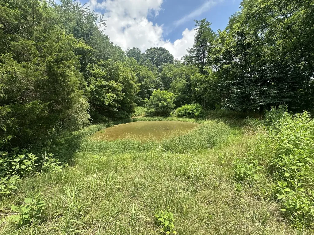 89 Conditt Hollow Road Elmwood TN 38560