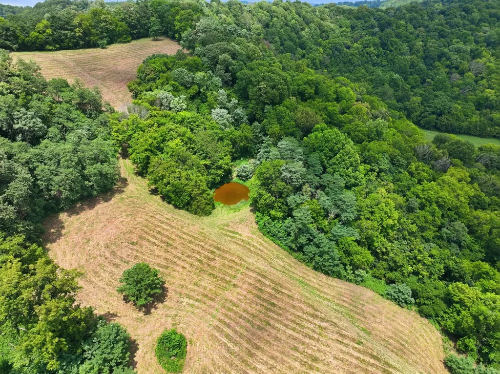 89 Conditt Hollow Road Elmwood TN 38560
