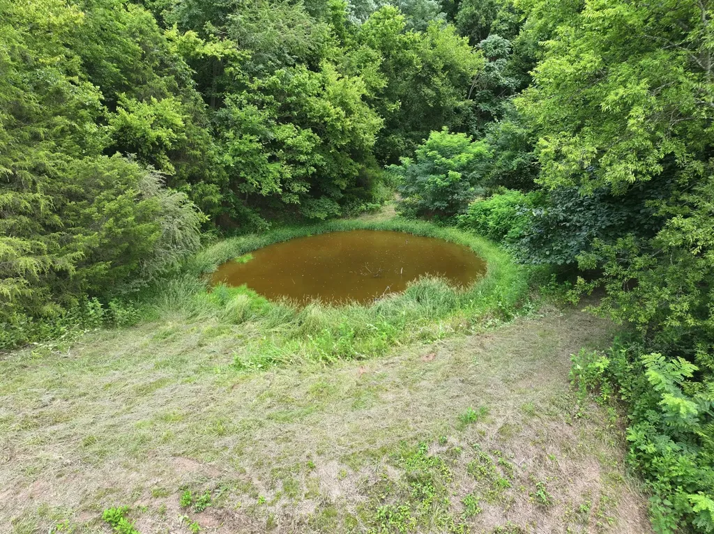 89 Conditt Hollow Road Elmwood TN 38560