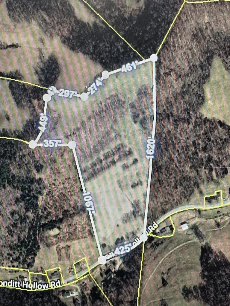 89 Conditt Hollow Road Elmwood TN 38560