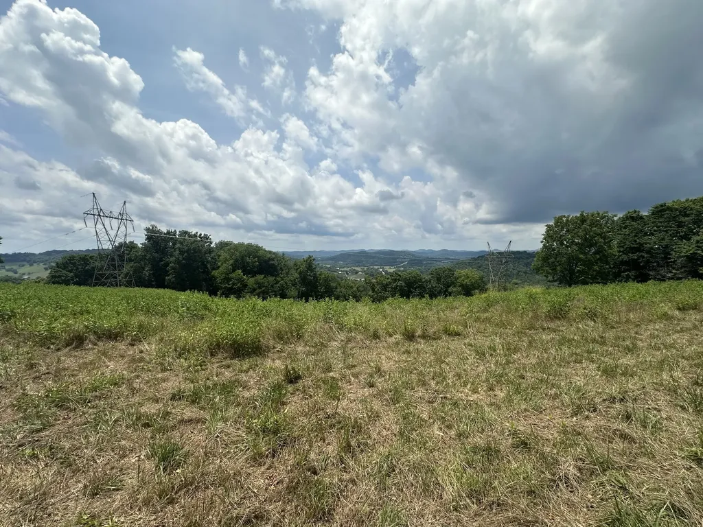 89 Conditt Hollow Road Elmwood TN 38560
