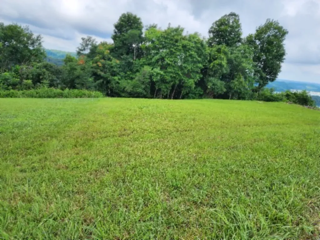 0 Sunfish Lane Hilham TN 38568