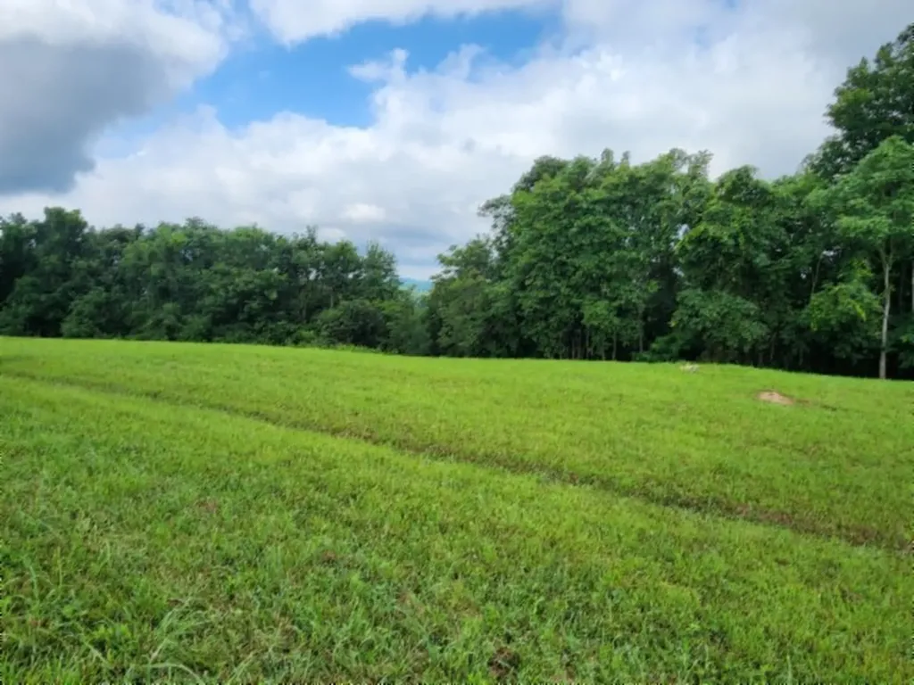 0 Sunfish Lane Hilham TN 38568