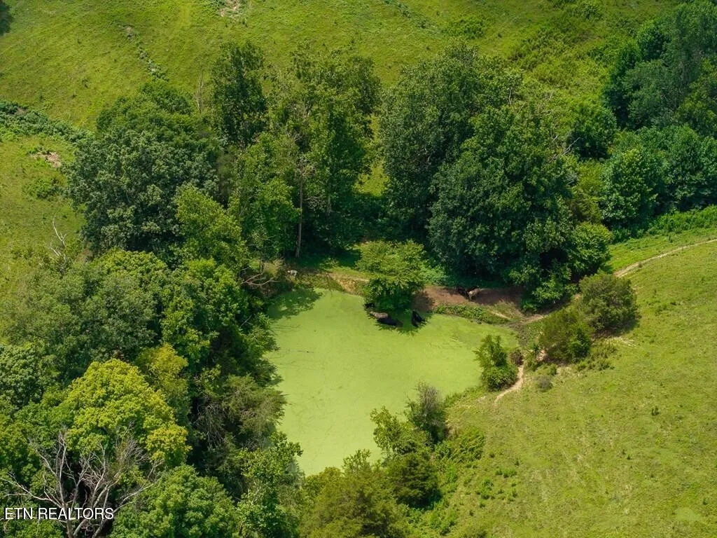 98 Blackburn Fork Road Cookeville TN 38501
