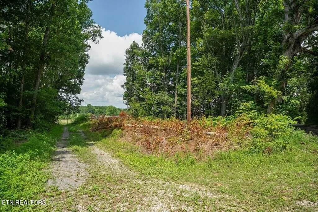 98 Blackburn Fork Road Cookeville TN 38501