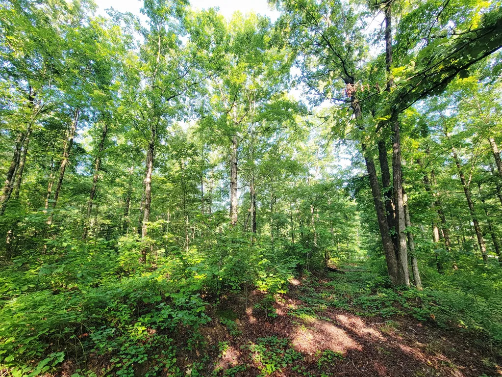 0 Ridgewood Drive Mc Ewen TN 37101