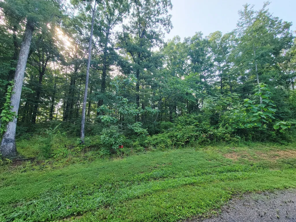0 Ridgewood Drive Mc Ewen TN 37101