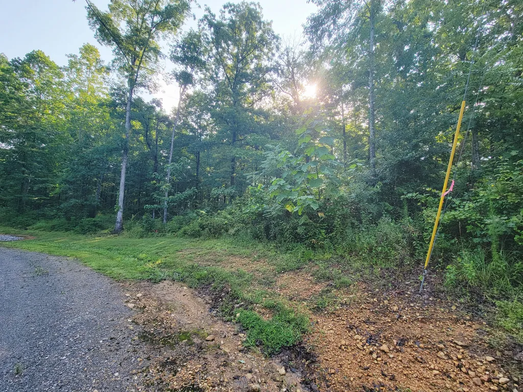 0 Ridgewood Drive Mc Ewen TN 37101
