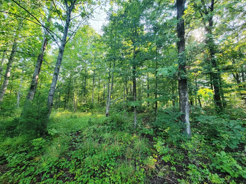 0 Ridgewood Drive Mc Ewen TN 37101