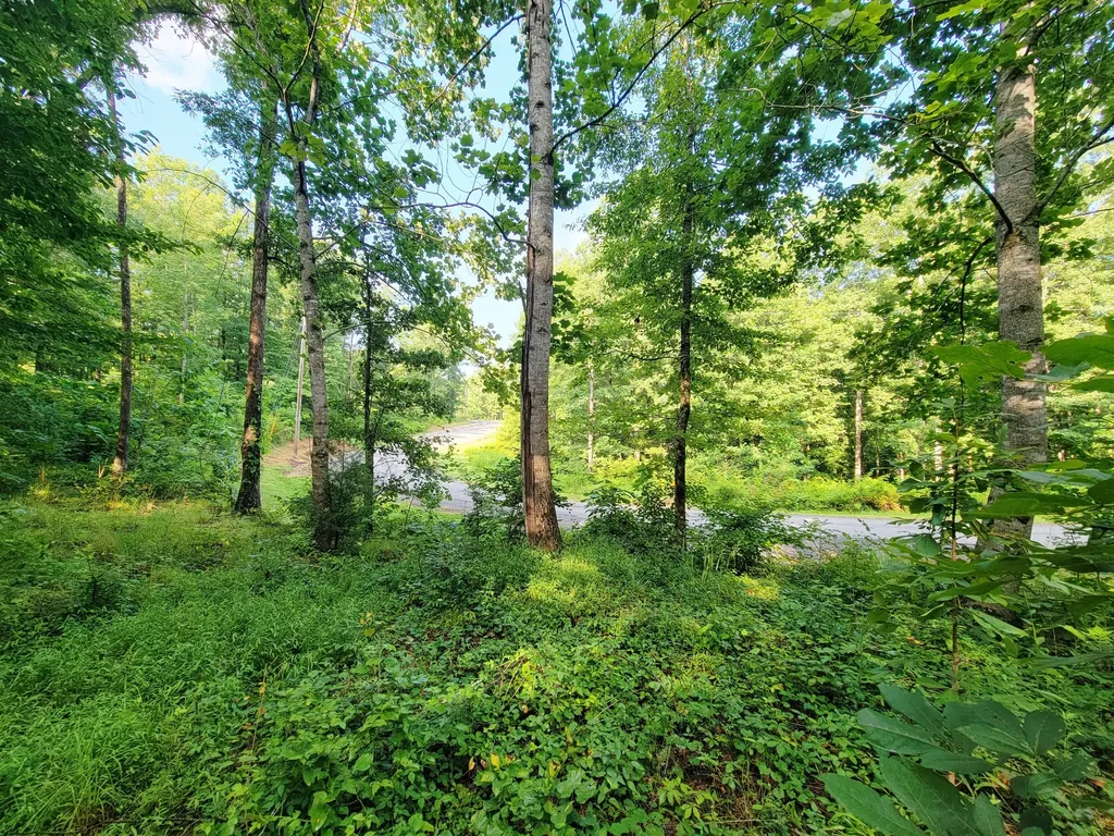 0 Ridgewood Drive Mc Ewen TN 37101