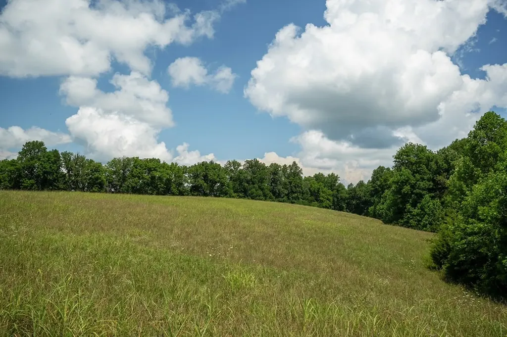 0 Blackburn Fork Road Cookeville TN 38501
