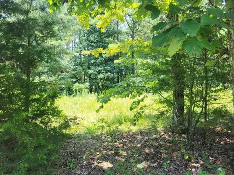 0 Deer Run Monterey TN 38574