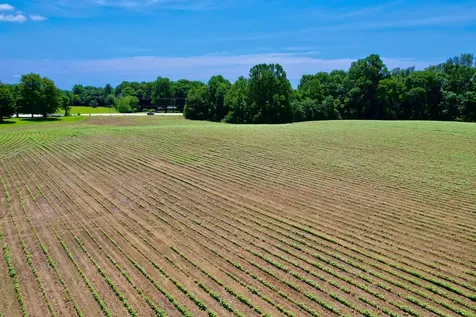 20 Lambs Ferry Road Leoma TN 38468