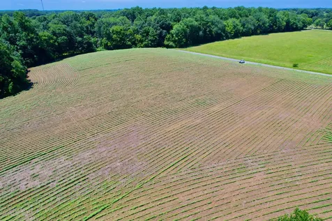 20 Lambs Ferry Road Leoma TN 38468