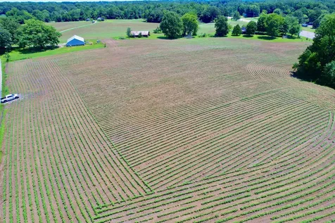 20 Lambs Ferry Road Leoma TN 38468