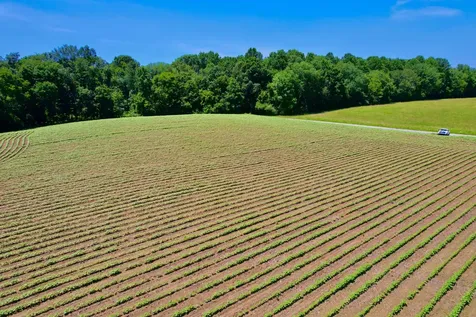 20 Lambs Ferry Road Leoma TN 38468