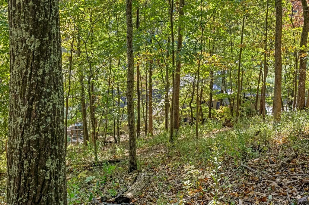 433 Grayson Drive Nashville TN 37205