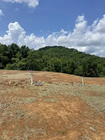 151 Berry Hunter Lane Franklin TN 37067