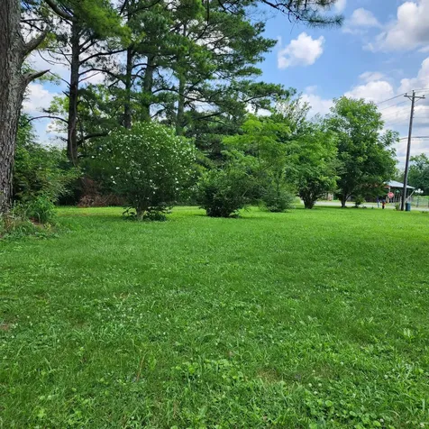 1202 North Main Street Saint Joseph TN 38481