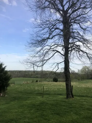 5651 Highway 48 Cunningham TN 37052