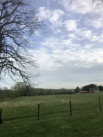 5651 Highway 48 Cunningham TN 37052