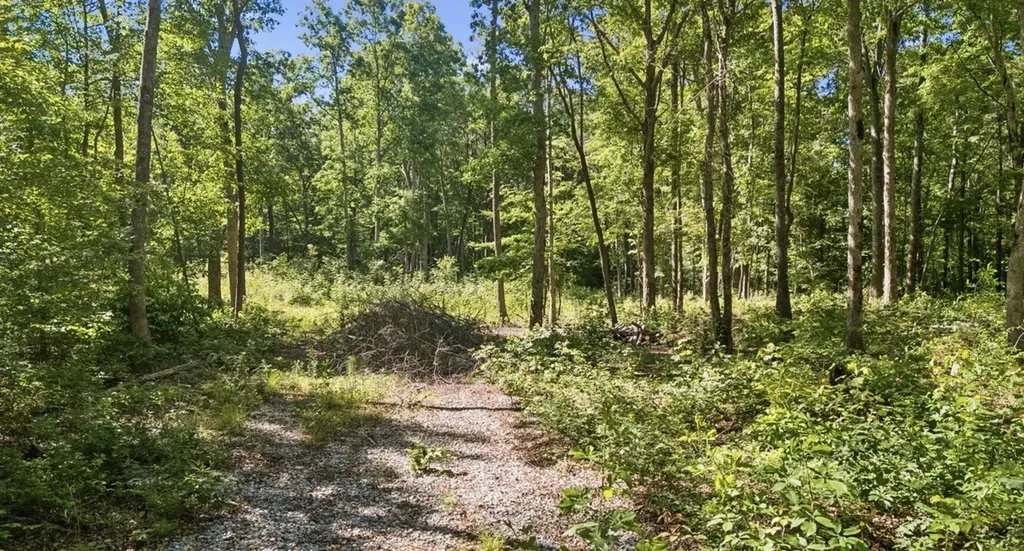 9 Dollar Lane Altamont TN 37301