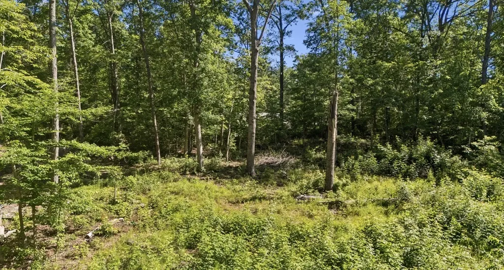 9 Dollar Lane Altamont TN 37301