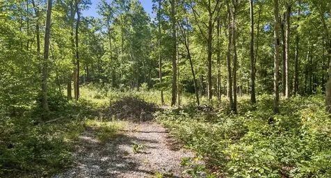9 Dollar Lane Altamont TN 37301