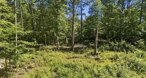 9 Dollar Lane Altamont TN 37301