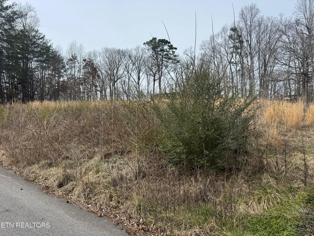 34 Pioneer Drive Seymour TN 37865