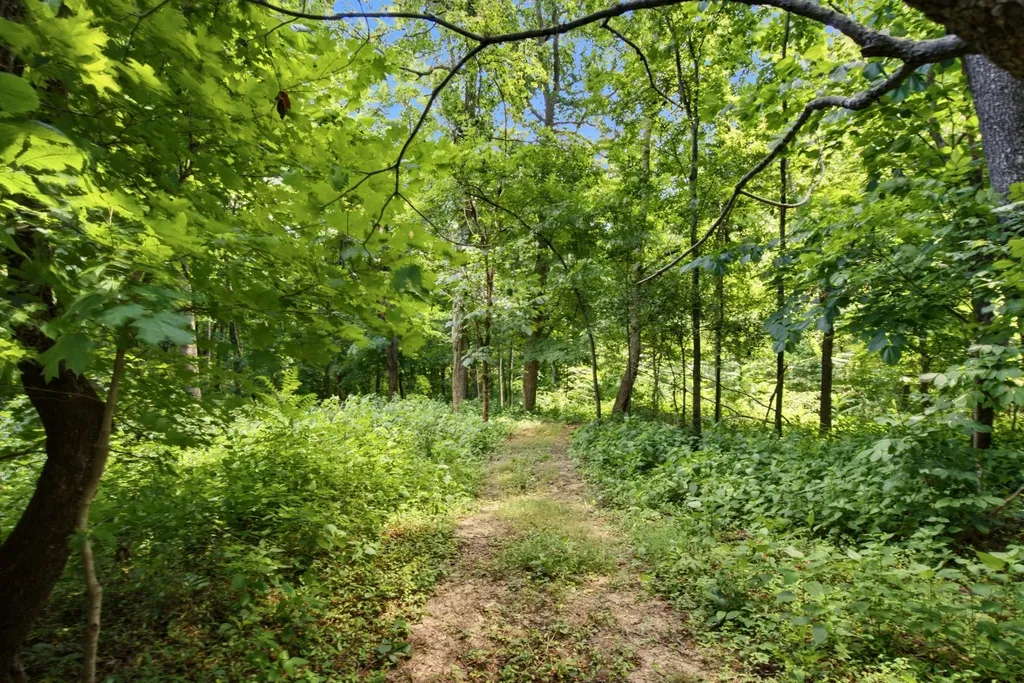 4423 Taylor Road Springfield TN 37172