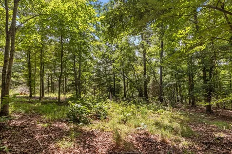 2035 Skyview Drive Centerville TN 37033